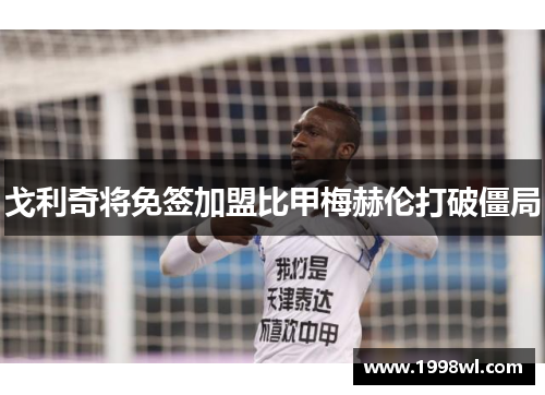 戈利奇将免签加盟比甲梅赫伦打破僵局